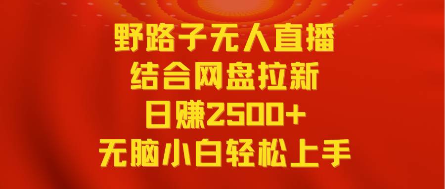 无人直播野路子结合网盘拉新，日赚2500+多平台变现，小白无脑轻松上手操作-飞宇网创