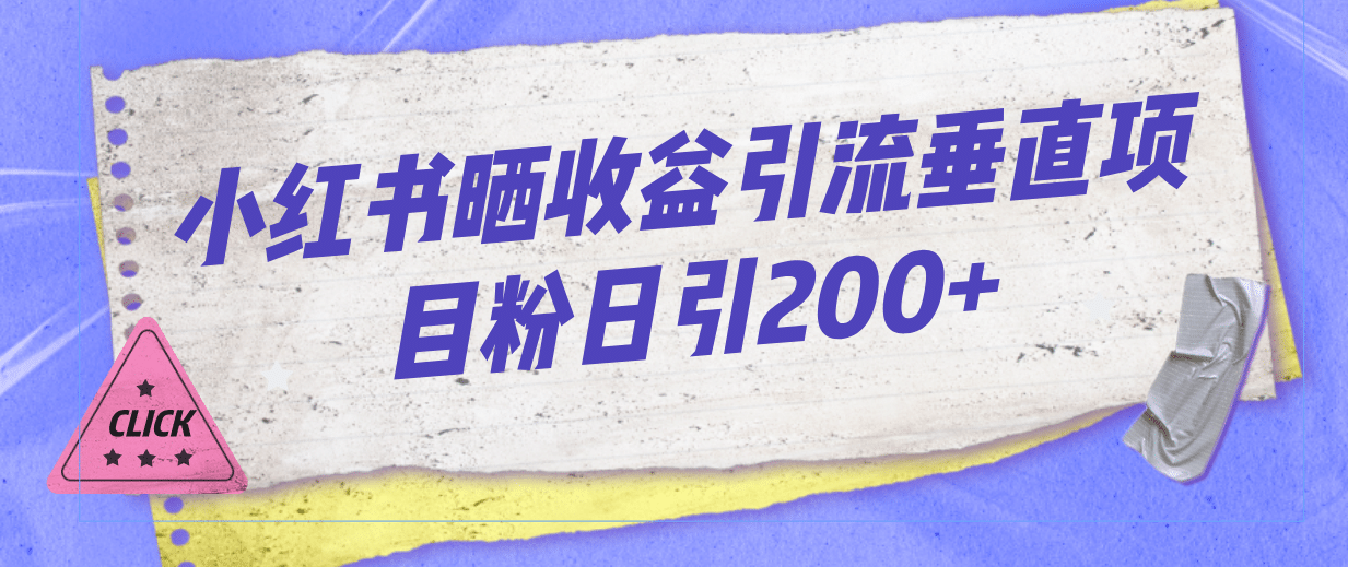 小红书晒收益图引流垂直项目粉日引200+-飞宇网创