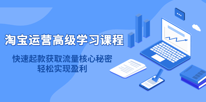 淘宝运营高级学习课程：快速获取流量核心秘密，轻松实现盈利！-飞宇网创