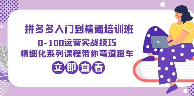 2023拼多多入门到精通培训班：0-100运营实战技巧 精细化系列课带你弯道超车-飞宇网创