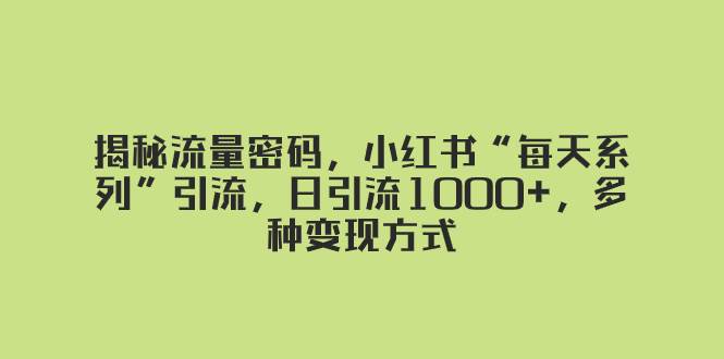 揭秘流量密码，小红书“每天系列”引流，日引流1000+，多种变现方式-飞宇网创