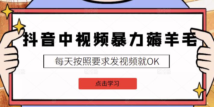 2022抖音中视频暴力薅羊毛白嫖项目：新号每天20块，老号几天几百块，可多号-飞宇网创