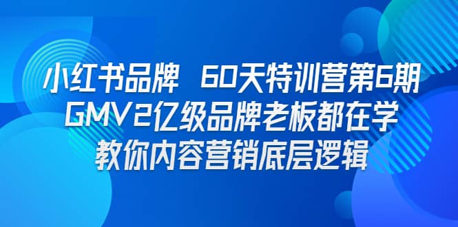 小红书品牌 60天特训营第6期 GMV2亿级品牌老板都在学 教你内容营销底层逻辑-飞宇网创