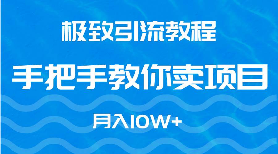 极致引流教程，手把手教你卖项目，月入10W+-飞宇网创