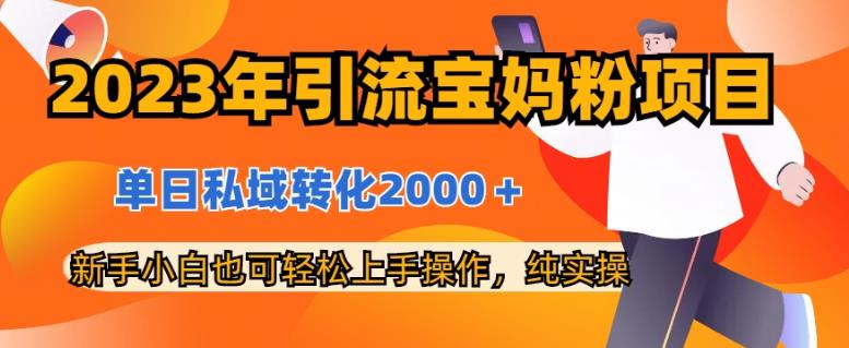 2023年引流宝妈粉项目，单日私域转化2000＋，新手小白也可轻松上手操作，纯实操-飞宇网创