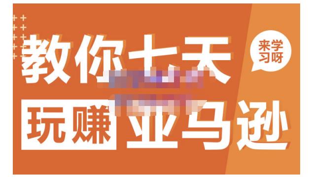 晟尧跨境·教你七天玩赚亚马逊，教你轻松玩赚亚马逊，适合小白学习-飞宇网创