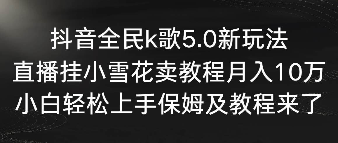 抖音全民k歌5.0新玩法，直播挂小雪花卖教程月入10万，小白轻松上手，保…-飞宇网创