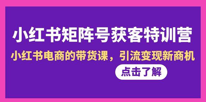小红书-矩阵号获客特训营-第10期，小红书电商的带货课，引流变现新商机-飞宇网创