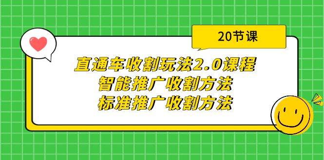 直通车收割玩法2.0课程：智能推广收割方法+标准推广收割方法（20节课）-飞宇网创