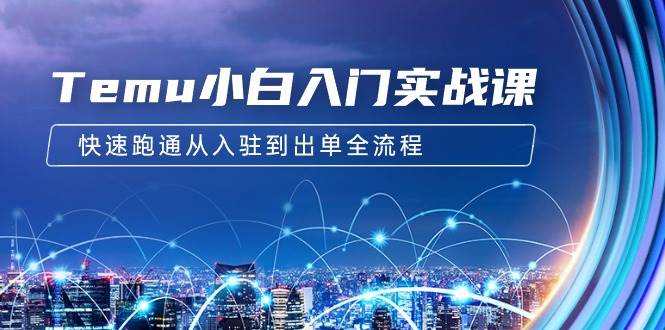 Temu小白入门实战课：跨境拼多多电商培训 快速跑通从入驻到出单全流程-12节-飞宇网创