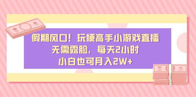 假期风口！玩梗高手小游戏直播，无需露脸，每天2小时，小白也可月入2W+-飞宇网创