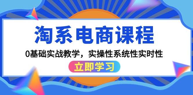 淘系电商课程，0基础实战教学，实操性系统性实时性（15节课）-飞宇网创