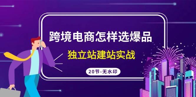 跨境电商怎样选爆品，独立站建站实战（20节高清无水印课）-飞宇网创