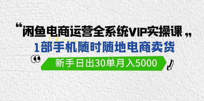闲鱼电商运营全系统VIP实战课，1部手机随时随地卖货，新手日出30单月入5000-飞宇网创