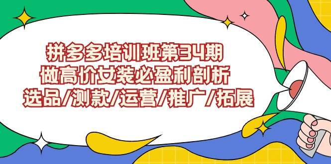 拼多多培训班第34期：做高价女装必盈利剖析  选品/测款/运营/推广/拓展-飞宇网创