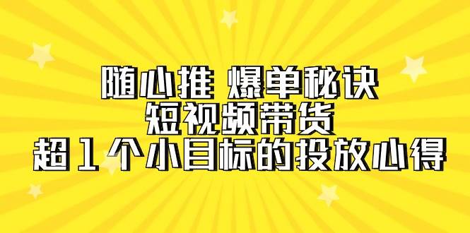 随心推 爆单秘诀，短视频带货-超1个小目标的投放心得（7节视频课）-飞宇网创