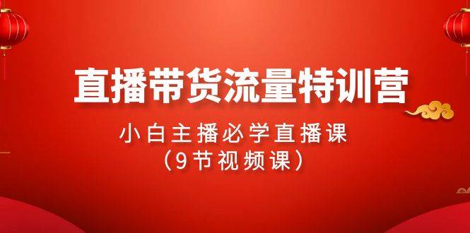 2024直播带货流量特训营，小白主播必学直播课（9节视频课）-飞宇网创