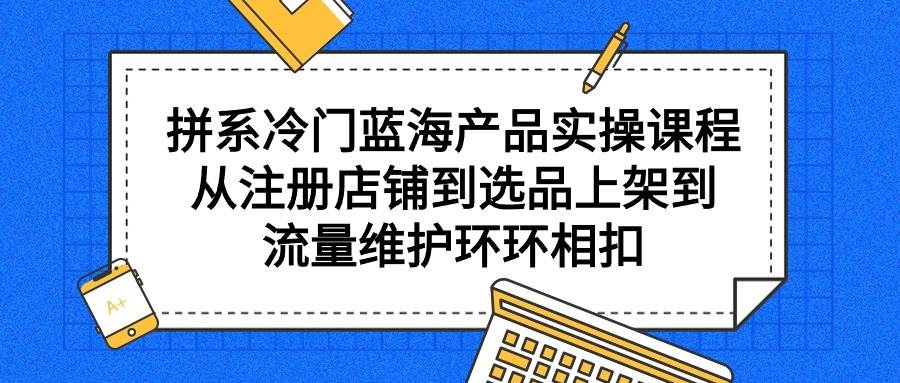 拼系冷门蓝海产品实操课程，从注册店铺到选品上架到流量维护环环相扣-飞宇网创