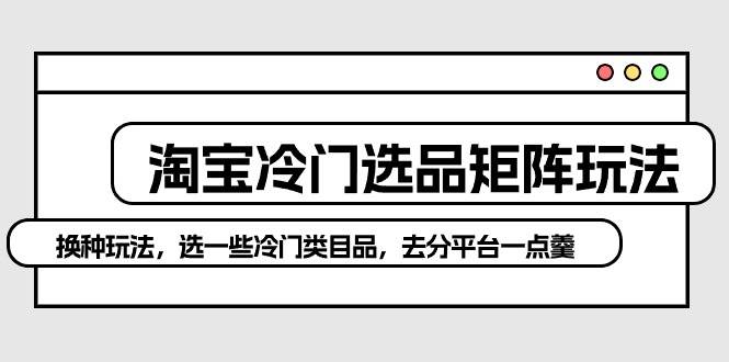 淘宝冷门选品矩阵玩法：换种玩法，选一些冷门类目品，去分平台一点羹-飞宇网创