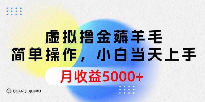 虚拟撸金薅羊毛，简单操作，小白当天上手，月收益5000+-飞宇网创