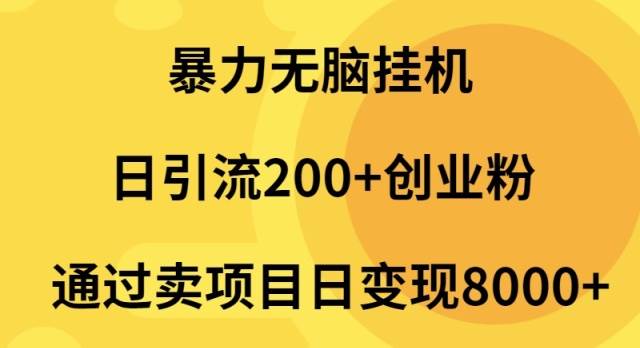 暴力无脑挂机日引流200+创业粉通过卖项目日变现2000+-飞宇网创