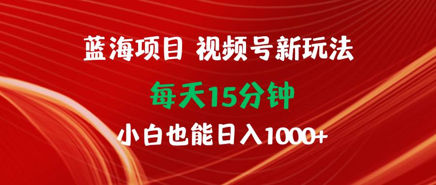 蓝海项目视频号新玩法 每天15分钟 小白也能日入1000+-飞宇网创