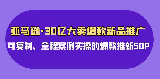 亚马逊30亿·大卖爆款新品推广，可复制、全程案例实操的爆款推新SOP-飞宇网创