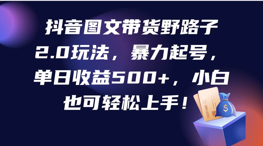 抖音图文带货野路子2.0玩法，暴力起号，单日收益500+，小白也可轻松上手！-飞宇网创