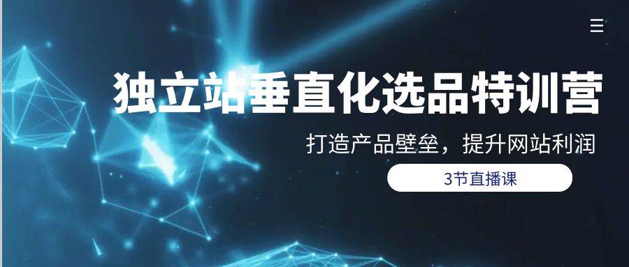 独立站-垂直化选品训练营，打造产品壁垒，提升网站利润（3节直播课）-飞宇网创