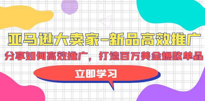 亚马逊 大卖家-新品高效推广，分享如何高效推广，打造百万美金爆款单品-飞宇网创