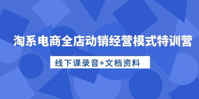 淘系电商全店动销经营模式特训营，线下课录音+文档资料-飞宇网创