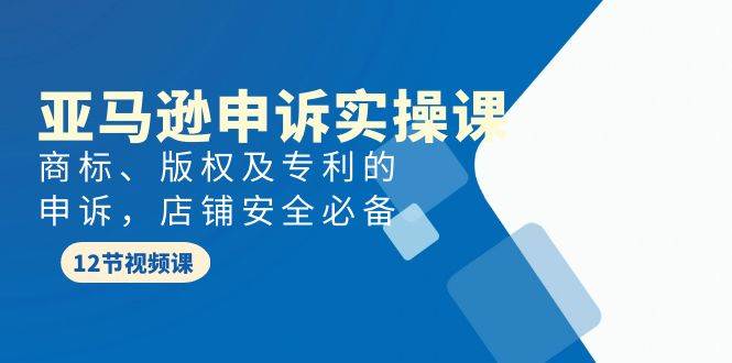 亚马逊-申诉实战课，商标、版权及专利的申诉，店铺安全必备-飞宇网创