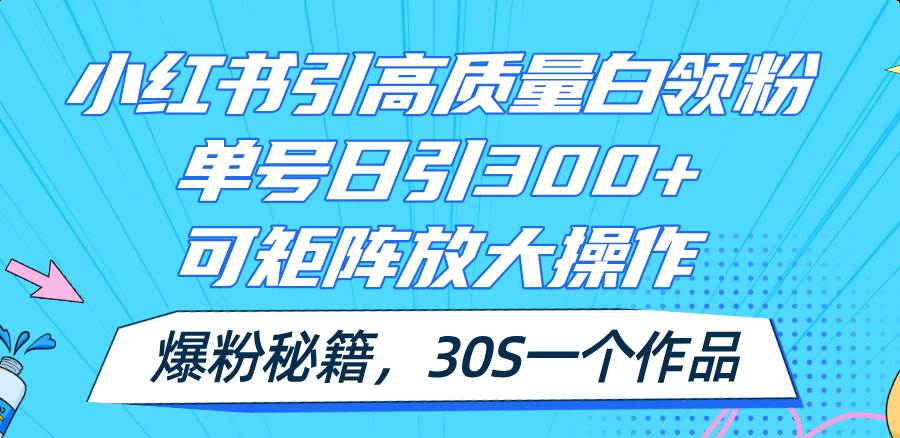 小红书引高质量白领粉，单号日引300+，可放大操作，爆粉秘籍！30s一个作品-飞宇网创