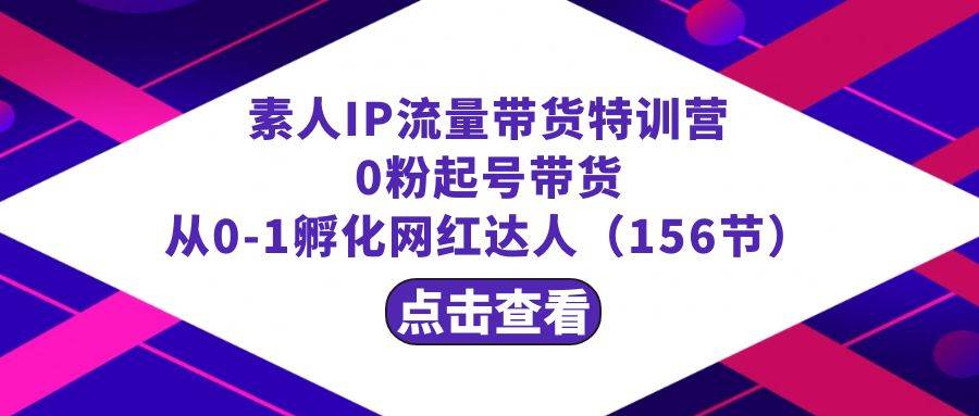 繁星·计划素人IP流量带货特训营：0粉起号带货 从0-1孵化网红达人（156节）-飞宇网创