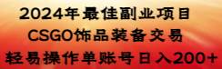 2024年最佳副业项目 CSGO饰品装备交易 轻易操作单账号日入200+-飞宇网创