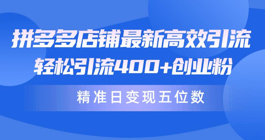 拼多多店铺最新高效引流术，轻松引流400+创业粉，精准日变现五位数！-飞宇网创