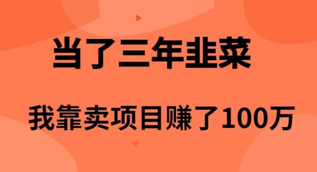 当了3年韭菜，我靠卖项目赚了100万-飞宇网创
