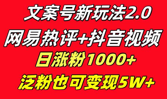 文案号新玩法 网易热评+抖音文案 一天涨粉1000+ 多种变现模式 泛粉也可变现-飞宇网创