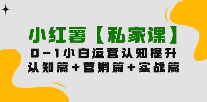 小红薯【私家课】0-1玩赚小红书内容营销，认知篇+营销篇+实战篇（11节课）-飞宇网创
