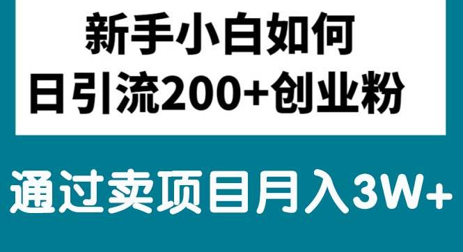 新手小白日引流200+创业粉,通过卖项目月入3W+-飞宇网创