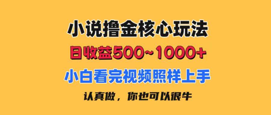 图片[1]-小说撸金核心玩法，日收益500-1000+，小白看完照样上手，0成本有手就行-飞宇网创