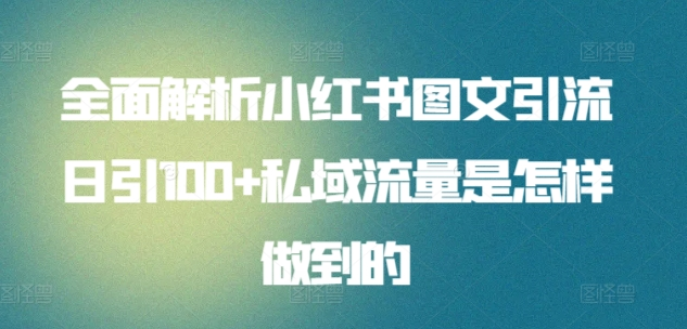 日引流100私域流量小红书图文是怎样做到的全面解析-飞宇网创
