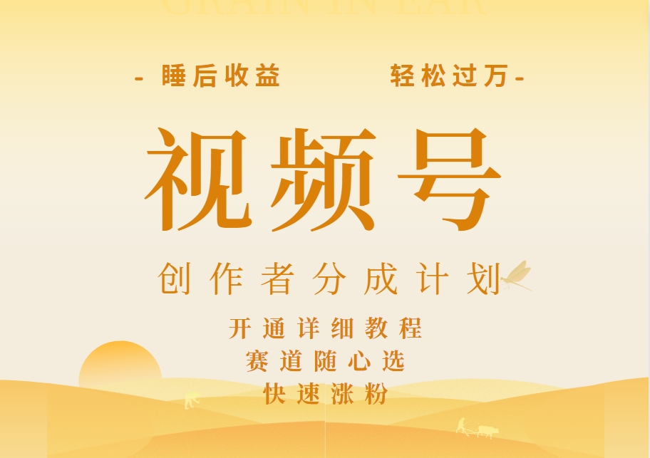 详解视频号创作者分成计划，暴力起号，可同步多平台，实现睡后收入2W+，看懂即可操作！-飞宇网创