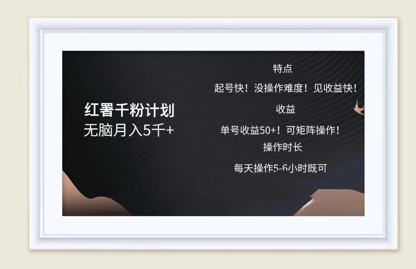 红薯千粉计划无脑月入5千➕！既做既赚！-飞宇网创